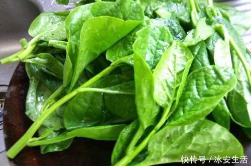 牛奶|含钙量不输牛奶,嫩叶口感清脆爽口,俗称“豆腐菜”,吃过吗?