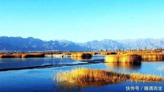 西京|面对30000西夏军队金国仅用1000多骑兵就将之完全击溃