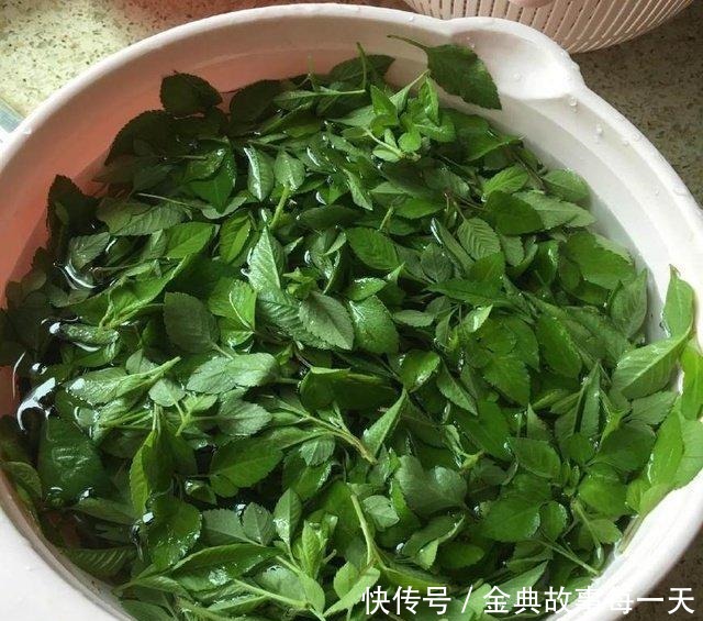 野地一种“鬼针草”,农民都讨厌它,却不知它是草药的瑰宝