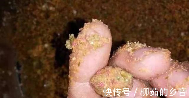 钓友们|入秋了,反而鳊鱼更不好钓照我说的方法调整,不连竿才怪!