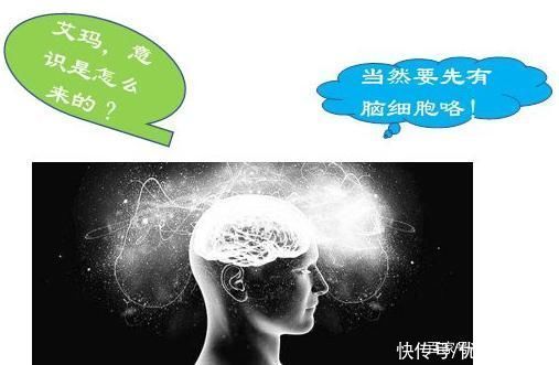 营养均衡|我们常常说的营养到底是什么?