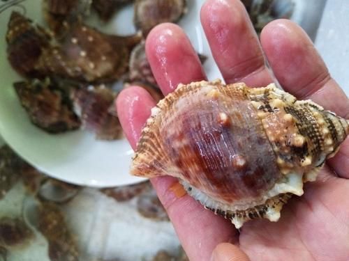 肝脏不好|肝不好的人能吃红薯吗?医生:若要养肝,尽量少吃以下这4种食物