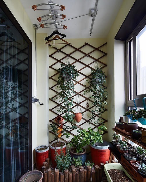 阳台上|3步打造“阳台花园”，只要有阳台，就可以打造漂亮的阳台小花园