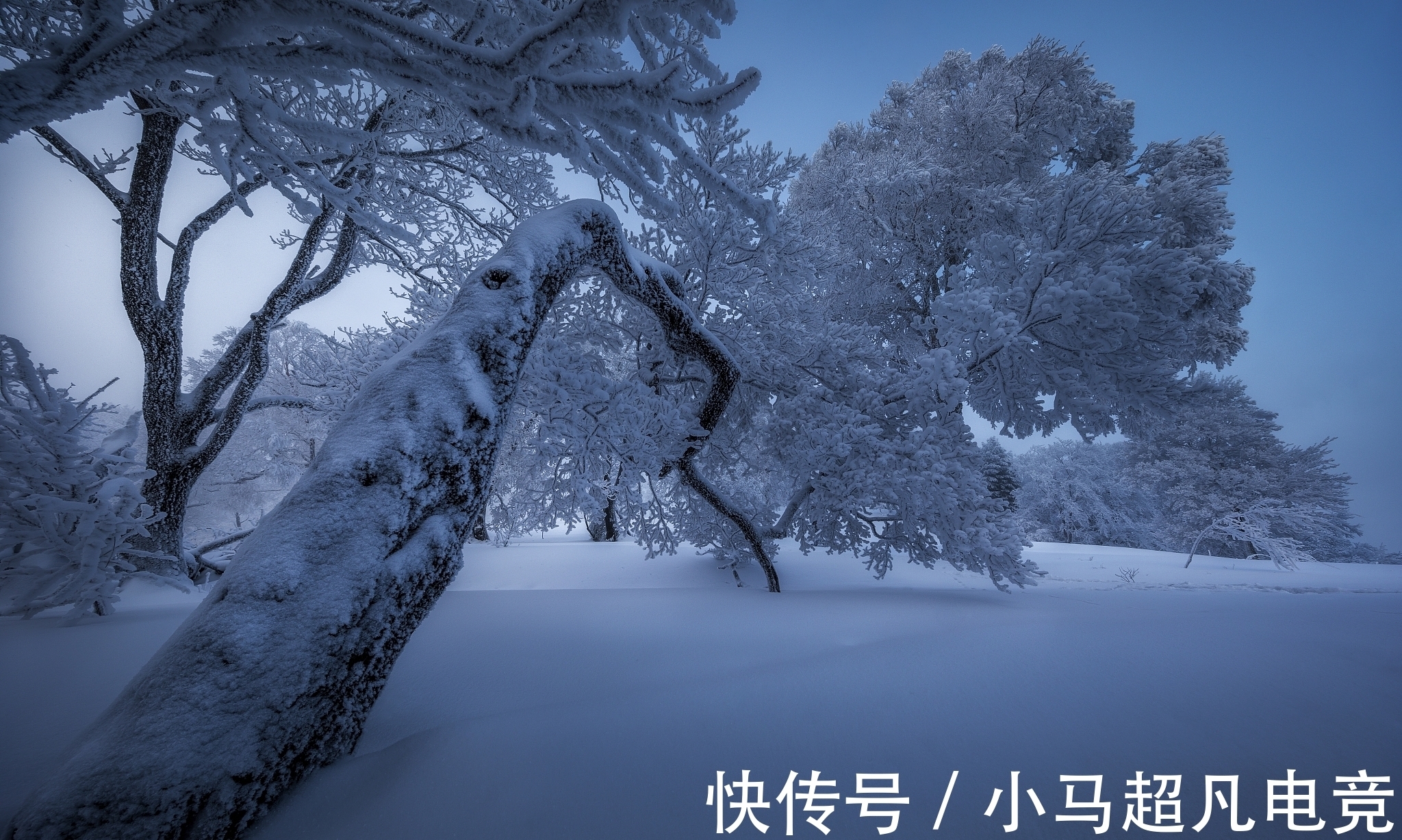 物象@描写雪景的四首诗,写出了雪天不同的美,你喜欢哪一首?