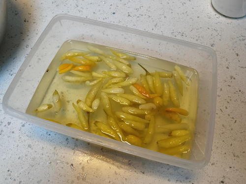  包菜|酒店一般不外传的开胃泡菜，酸甜嘎嘣脆，下酒下饭都合适，收藏了