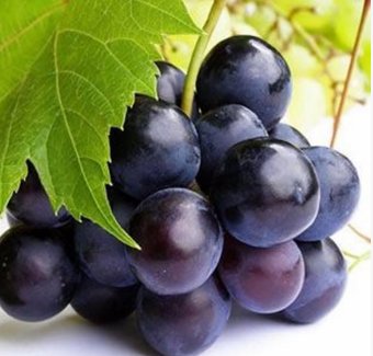 天天吃水果，但是您知道水果也是有“性情”的嗎？現(xiàn)在知道還不晚