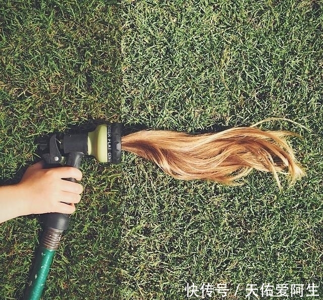 图片|艺术家将两张不同的图片拼接后,奇迹就这样发生了