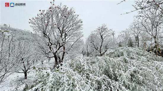 三水源|三水源迎来2021年第一场冬雪，银装素裹宛如仙境！