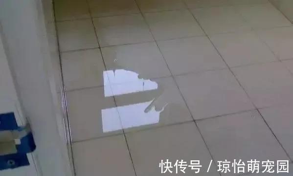 墙面|装修的钱要花刀刃上,家里这些地方值得花钱投入,让家好住又好看