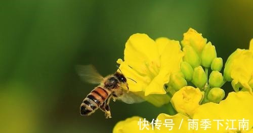 光宗耀祖|孩子出生在几点钟,孝心十足,日后必定是有用之才,光宗耀祖