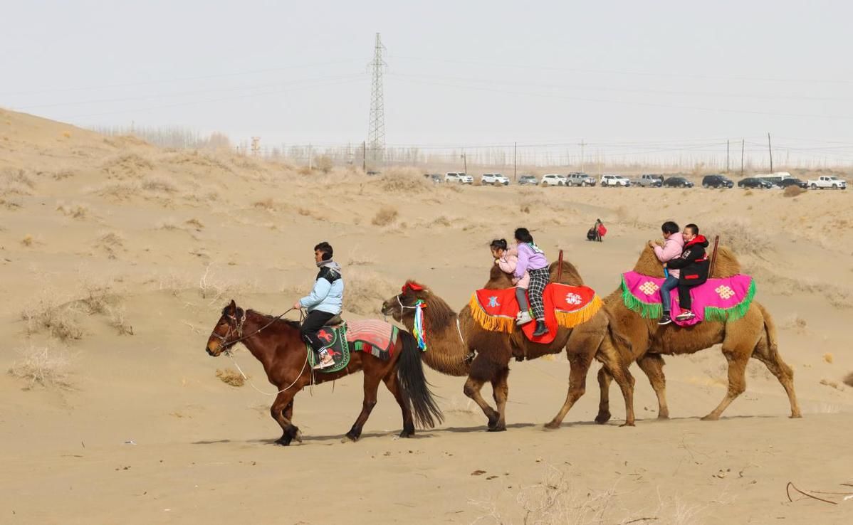 博湖县|沙漠驼队踏寻丝路大漠风光 为全域旅游增添新活力