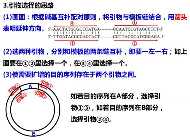 高中|高中生物：基因工程专题——基础知识+主要题型+解题技巧！