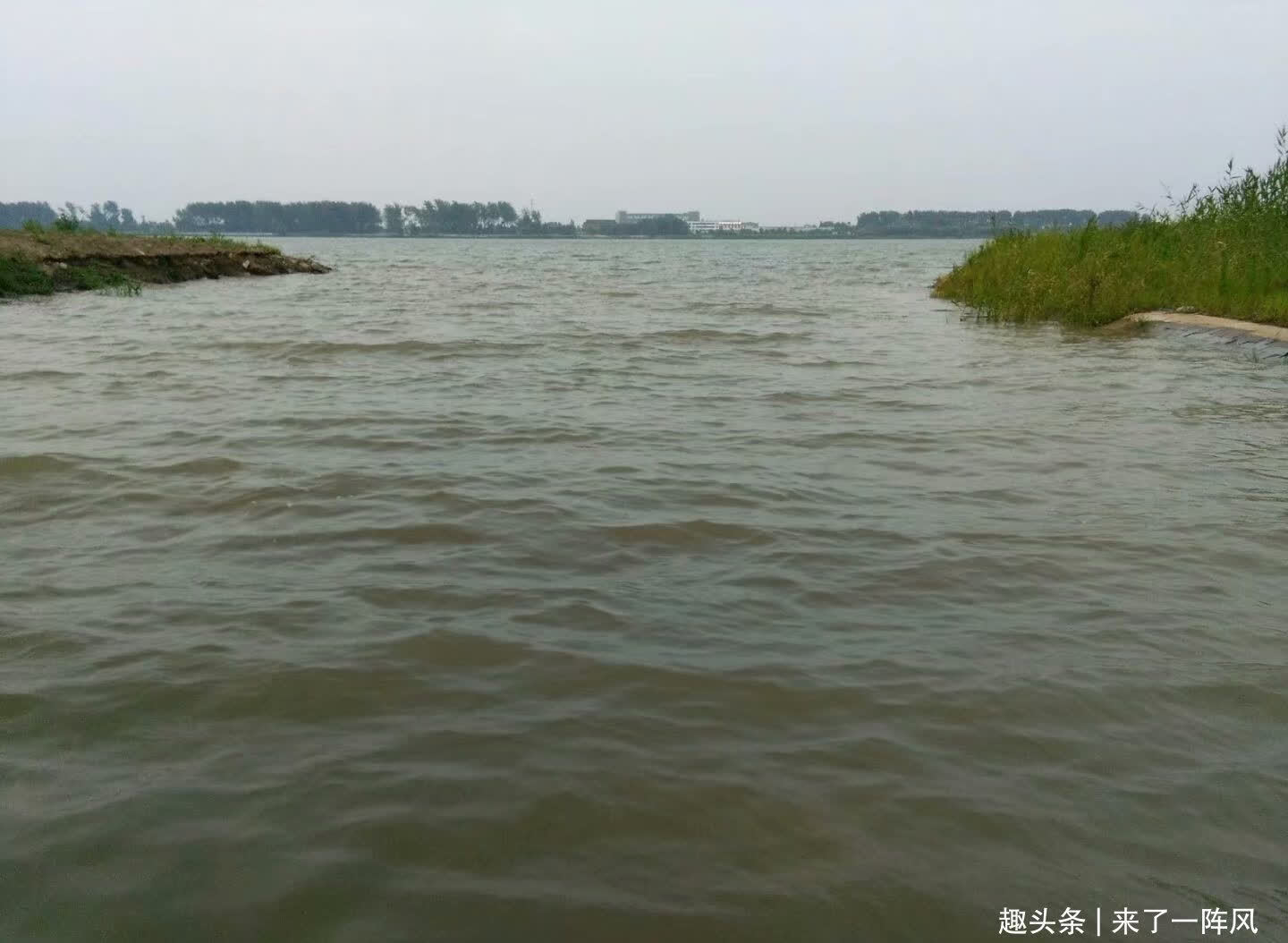 老家|长江禁渔10年,钓鱼人还能钓到鱼吗?听听钓鱼人怎么说?