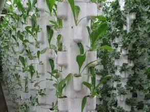 春天到了，考虑种花吗？