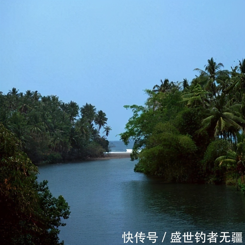 鱼突然停口是什么原因?用好对策别白费工夫!——盛世三渔