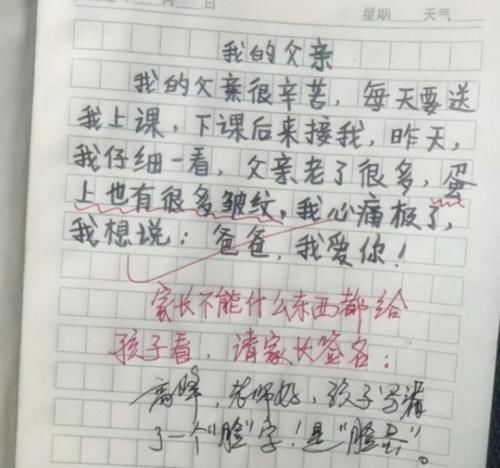 黄河|小学生翻车作文，断句没断明白引发误会，爸爸：跳黄河也洗不清了