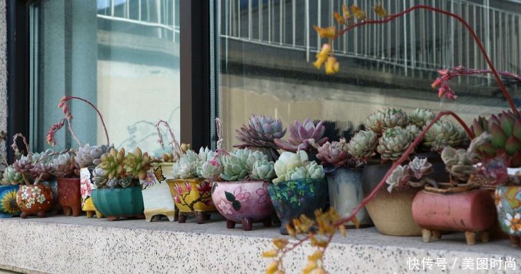 洋房|为了可以养花,我建了座小洋房,终于可以打造梦寐以求的花园了