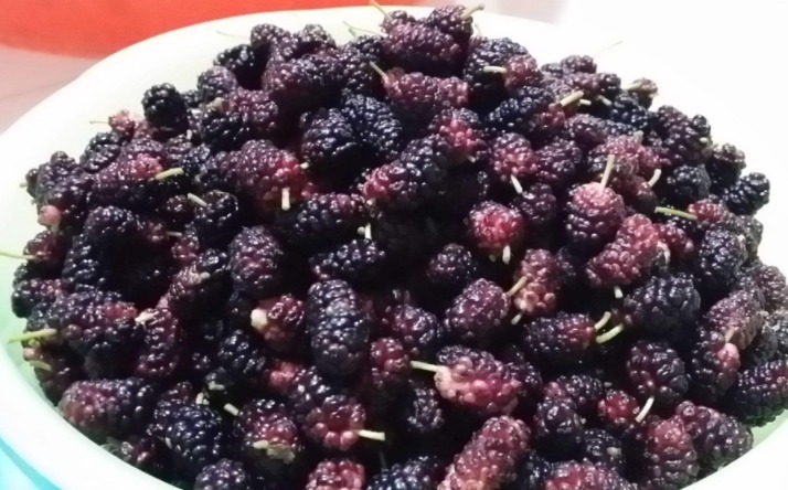 中老年人|45岁后身体开始走下坡路,多吃点3种食物,补血养血身体好