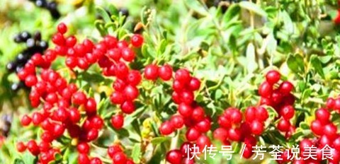 便秘|冬天来了,多吃的食物,排出毒素,延缓衰老,改善便秘