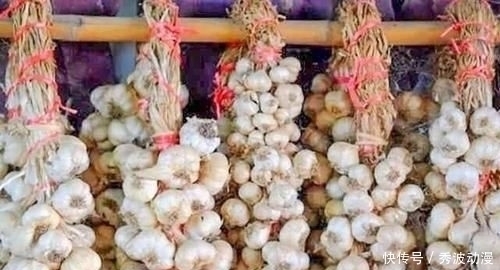 大蒜保存原来这么简单，放1年不发芽不干瘪，再也不怕大蒜长芽了