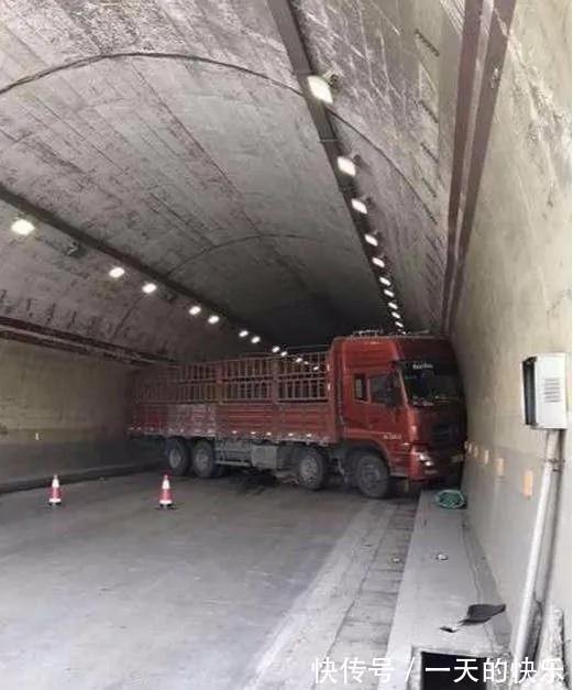 |搞笑趣图段子：阿汪，做的还蛮标准的嘛