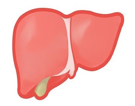 尿液|肝病是不能拖的,如果上厕所有三种情况,很可能是肝脏在呼救!