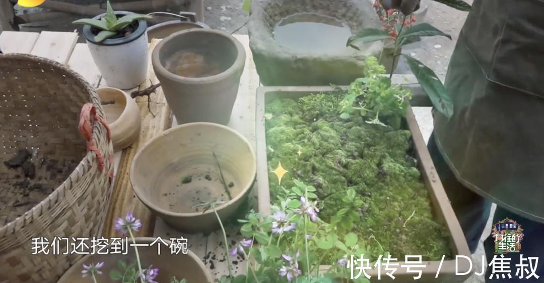 向往5|《向往5》开播至今，两位最受欢迎的飞行嘉宾出炉，杨紫占据一席