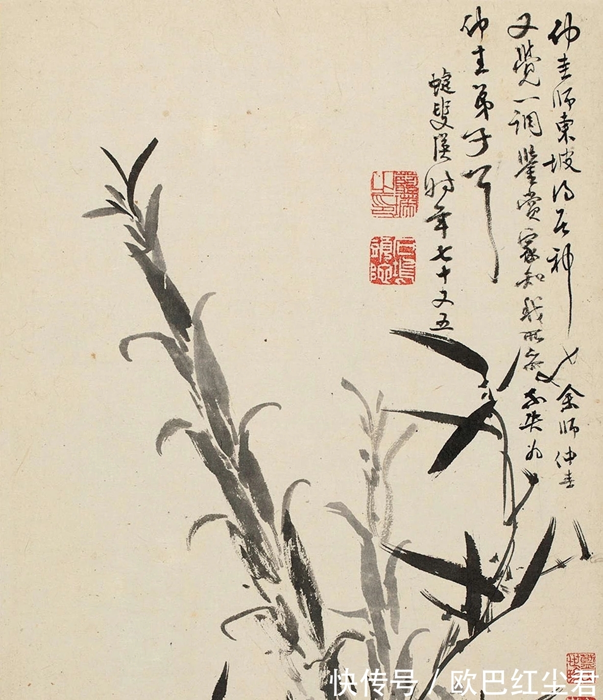 逸品$难得一见的水墨花鸟画逸品!蓝瑛《兰竹石册》十二开