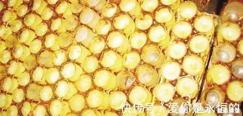 保健品|女性如何预防子宫肌瘤?不用担心喝豆浆,真正要远离3种常见美食