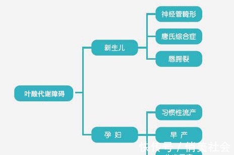 合成|生呗活性叶酸:都在补叶酸,差别怎么那么大呢?