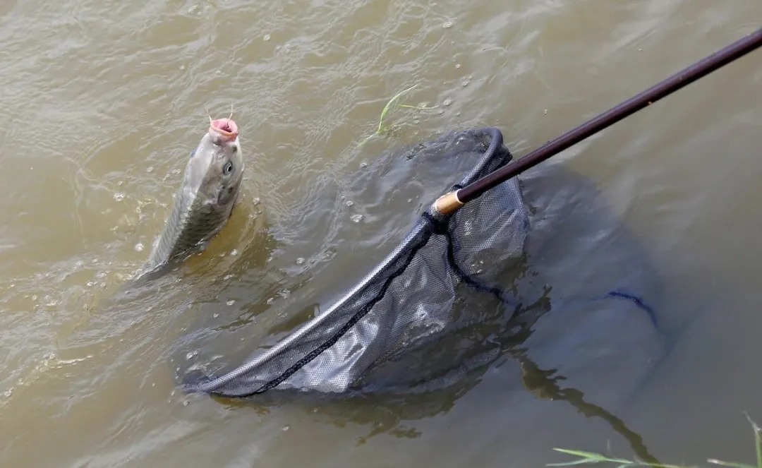 钓友无私分享秋季野钓看天气秘诀,让你渔获倍增!扬杆必中!