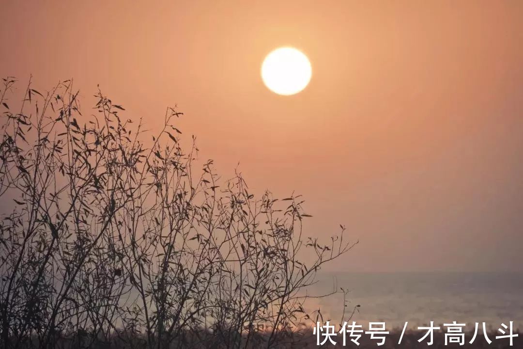 陈晓旭@精神的最高处!(深度好文)