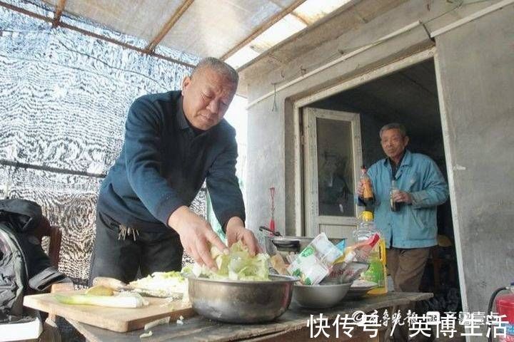 趵突泉|隐匿市区潜心研究养菊36年，“菊王“卞锁军的花匠情怀