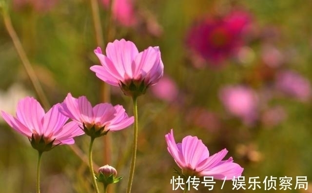 财神|7天后，时来运转，天降鸿运，财神庇佑，买彩票中大奖，万事大吉