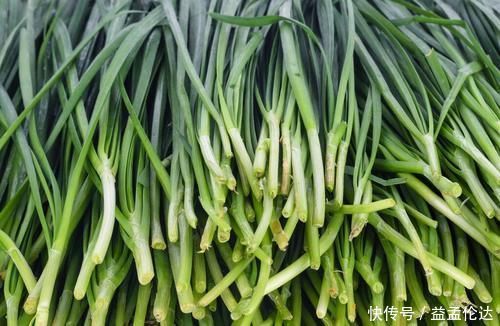 头茬|买韭菜,白根和紫根韭菜有啥区别?看完才知道差别,以后别瞎买了