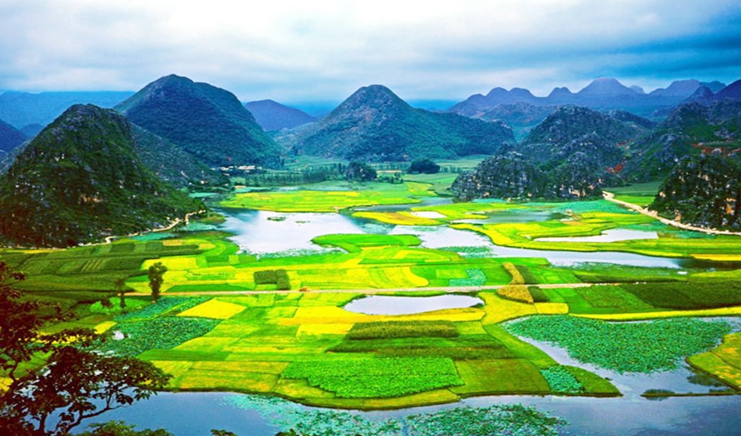 景点|十里桃花景区真实存在吗？它又是哪里的景点，看完忍不住想去打卡