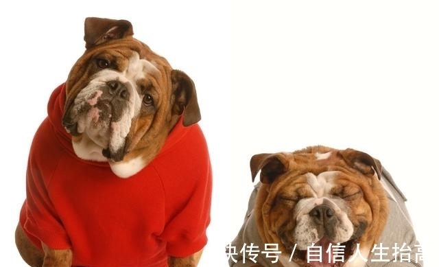 酸奶|便秘导致肠癌,医生建议:提防这10种疾病与药物!多吃14食物缓解