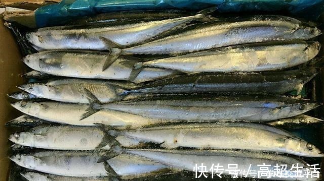 这4种海鱼值得大家一吃！比猪肉营养，独具鲜美还便宜，别错过！