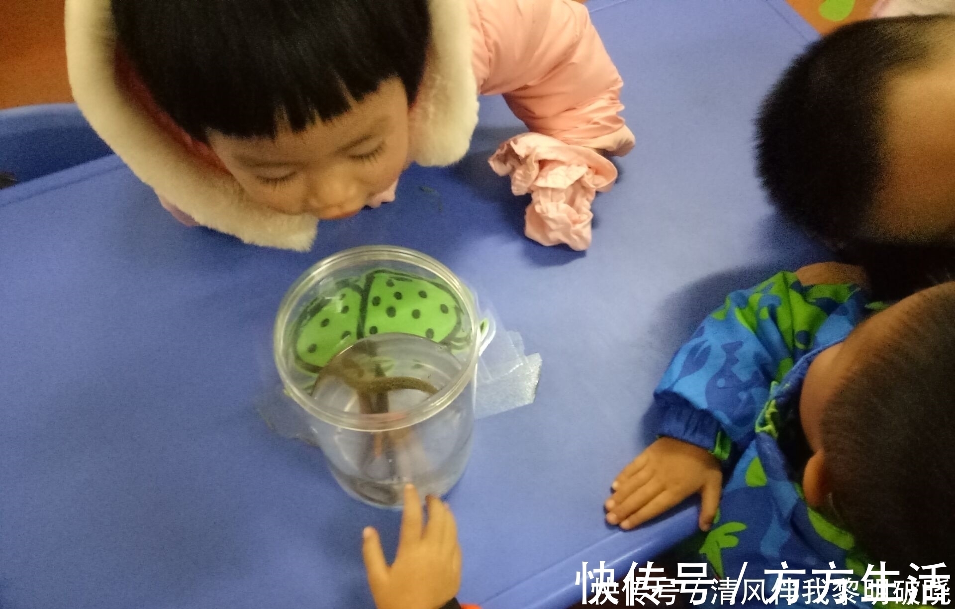 甲壳虫|孩子的这些怪癖行为，往往是“高智商”的种子，扼杀掉就太可惜了