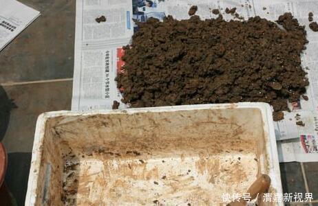 灭菌|养花的土,这样消毒“处理一下”,没有虫子病菌,花草长得旺!