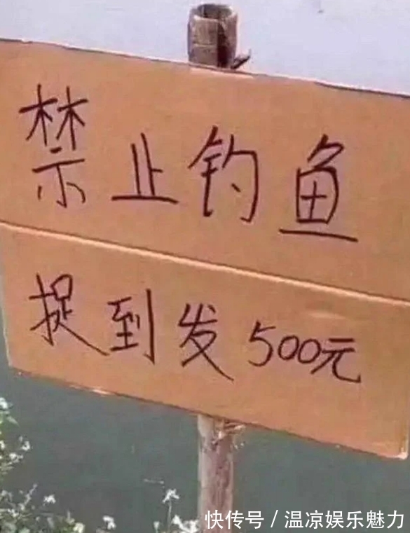 钓鱼竿|又一产业“火了”！产业规模超千亿，让千万中年男子“欲罢不能”