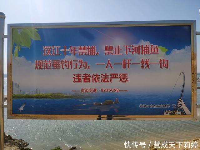 钓鱼被刑拘逐渐普遍,普通钓友如何钓鱼这几种行为危险