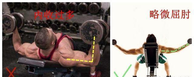 胸肌|上斜卧推末尾,加入1个哑铃飞鸟动作,更有效刺激上胸肌肉