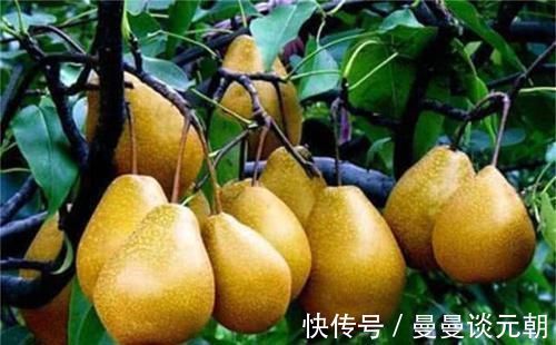 好处|超市最常见的3种食物,排毒养颜,淡化色斑,好处多多!