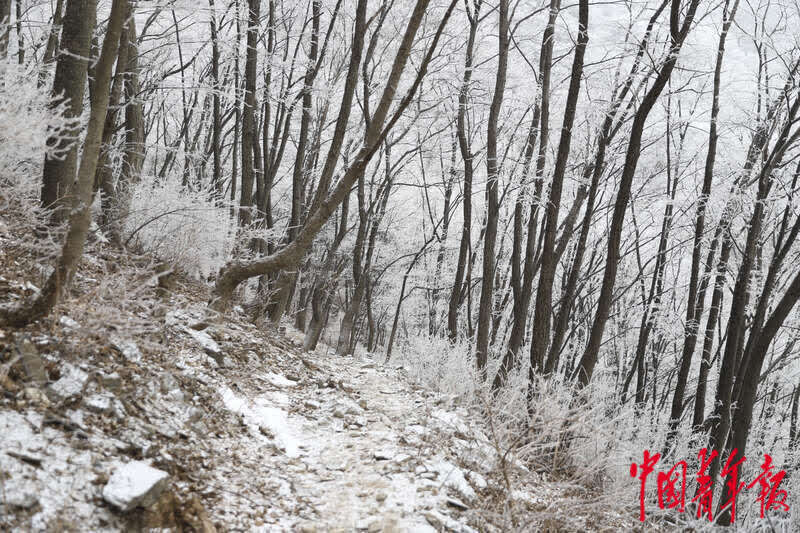 银装|雪后长城