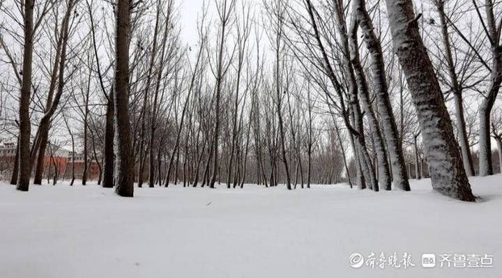 风雨送冬归 飞雪迎春到︱我在无棣古城等了一场冬与春的邂逅