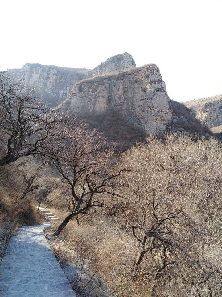 南太|七律·游济南南太行长清王泉村