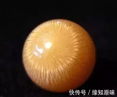 钻石 它比钻石贵N倍,他却用7只龙虾换到手!