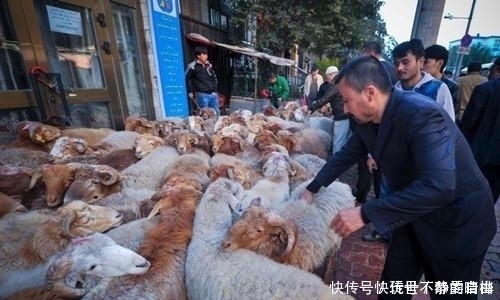 农村羊肉吃法,大盆羊肉炖白菜,吃起来很爽