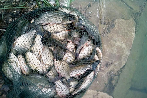 大爷就是大爷，为了钓鱼真是下血本，这才是真正的钓鱼人